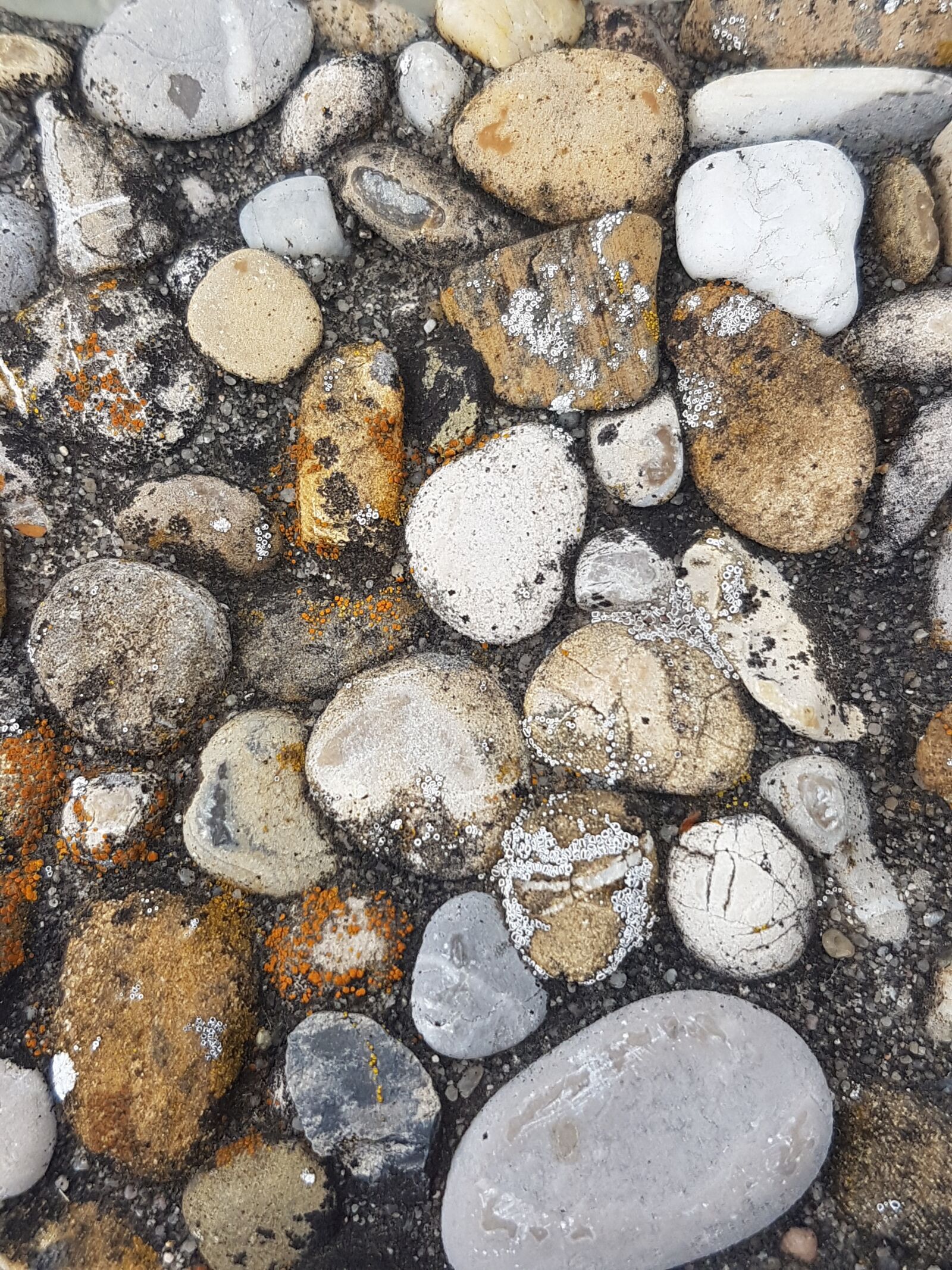 Samsung Galaxy S7 sample photo. Plate, stones, pebble photography