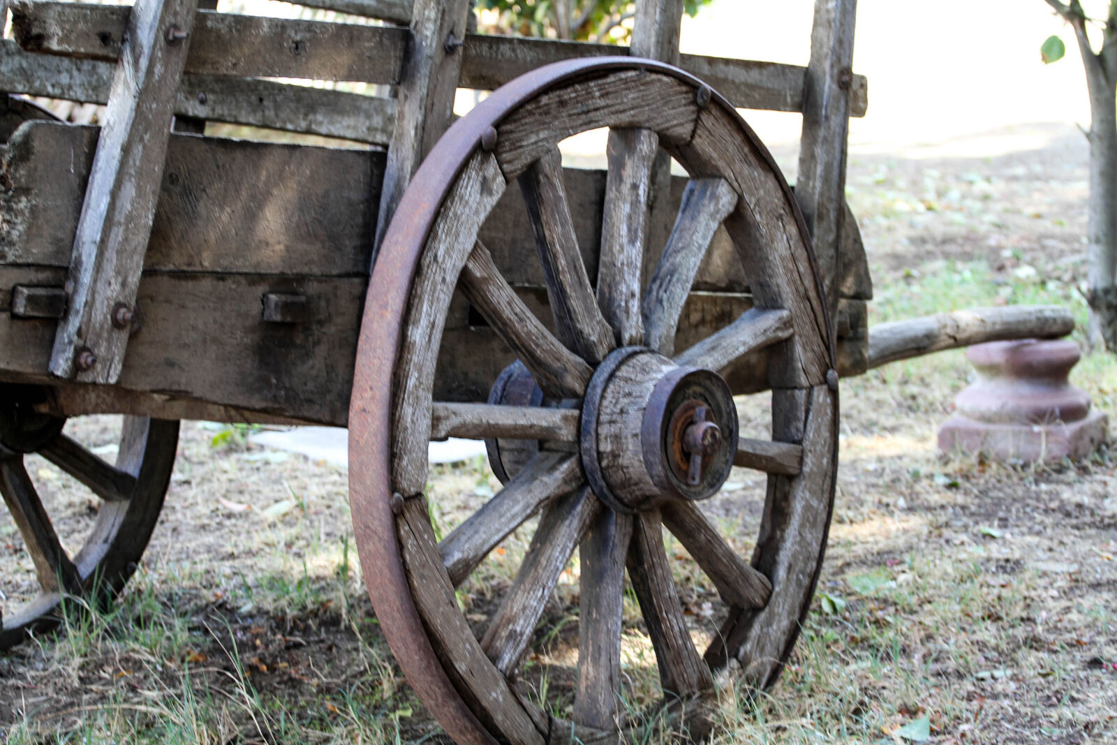 Canon EF 70-200mm F4L USM sample photo
