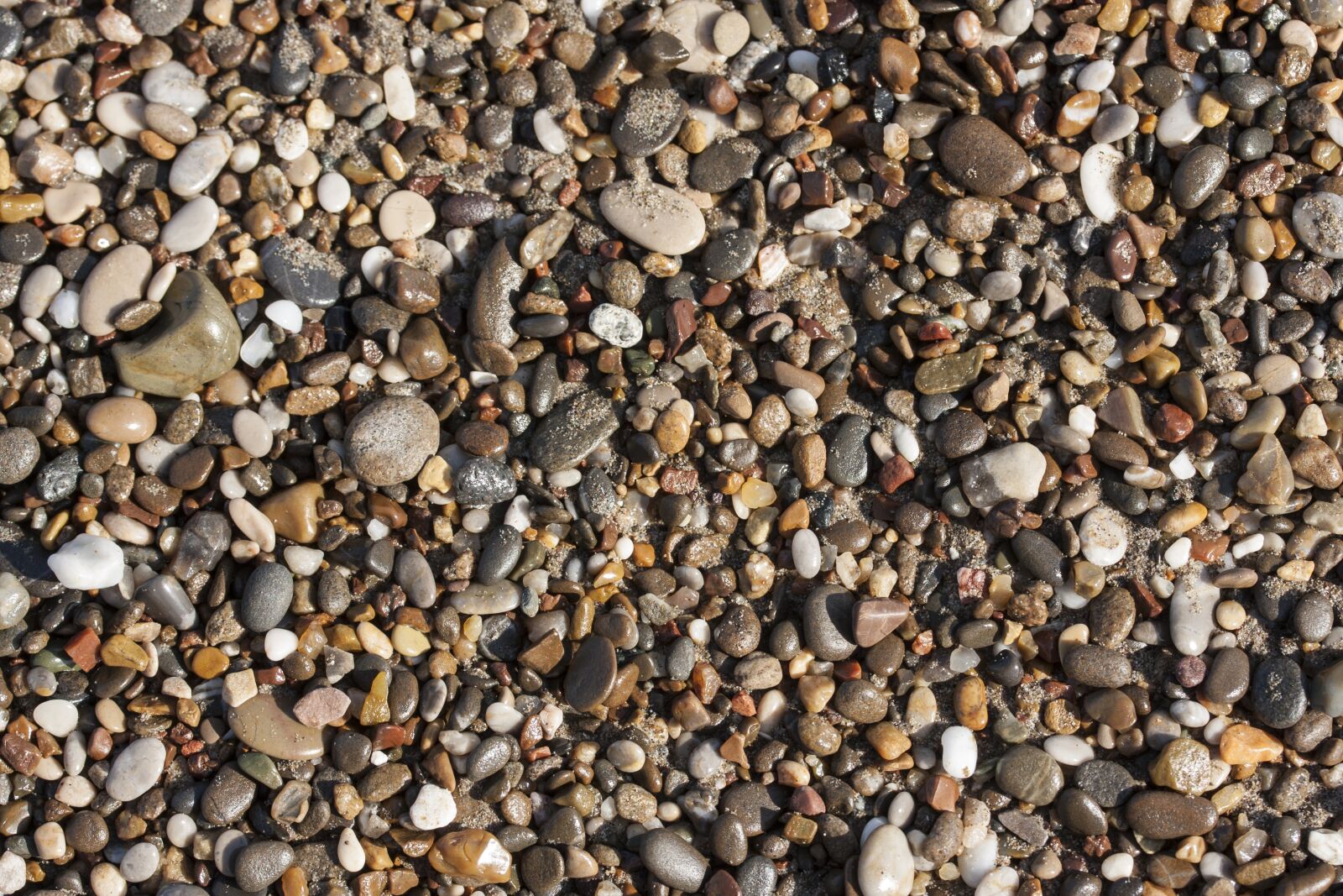 Canon EF-S 60mm F2.8 Macro USM sample photo. Stack, texture, model photography
