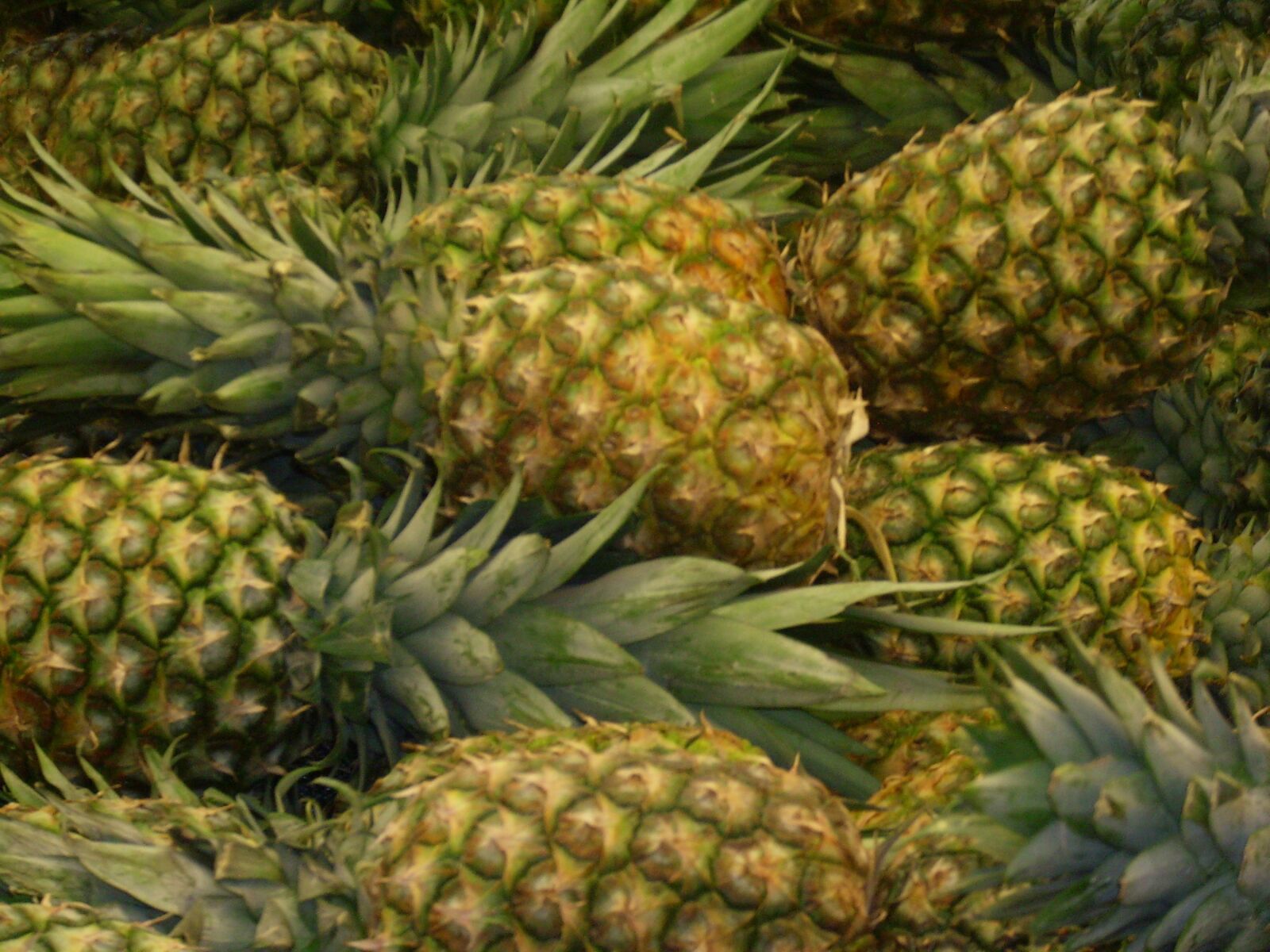 Polaroid i733 sample photo. Pineapples, farmers market, produce photography