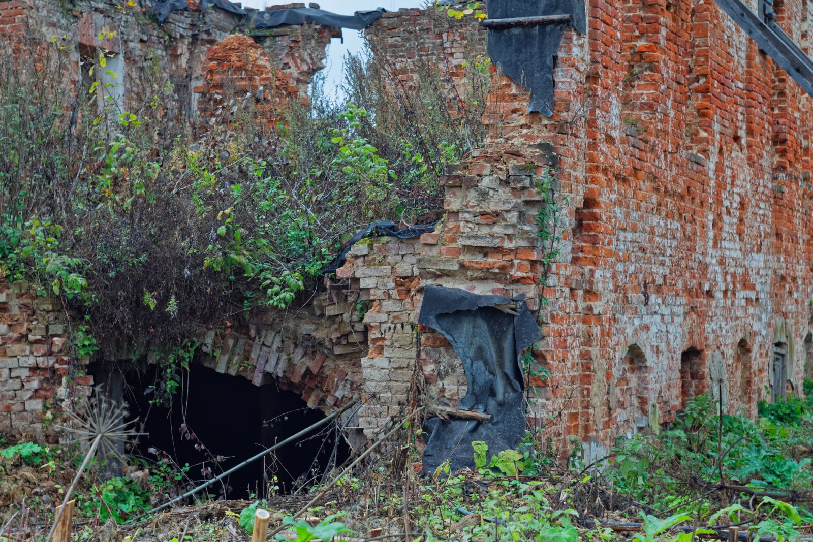Canon EOS 1100D (EOS Rebel T3 / EOS Kiss X50) sample photo. The ruins of the photography