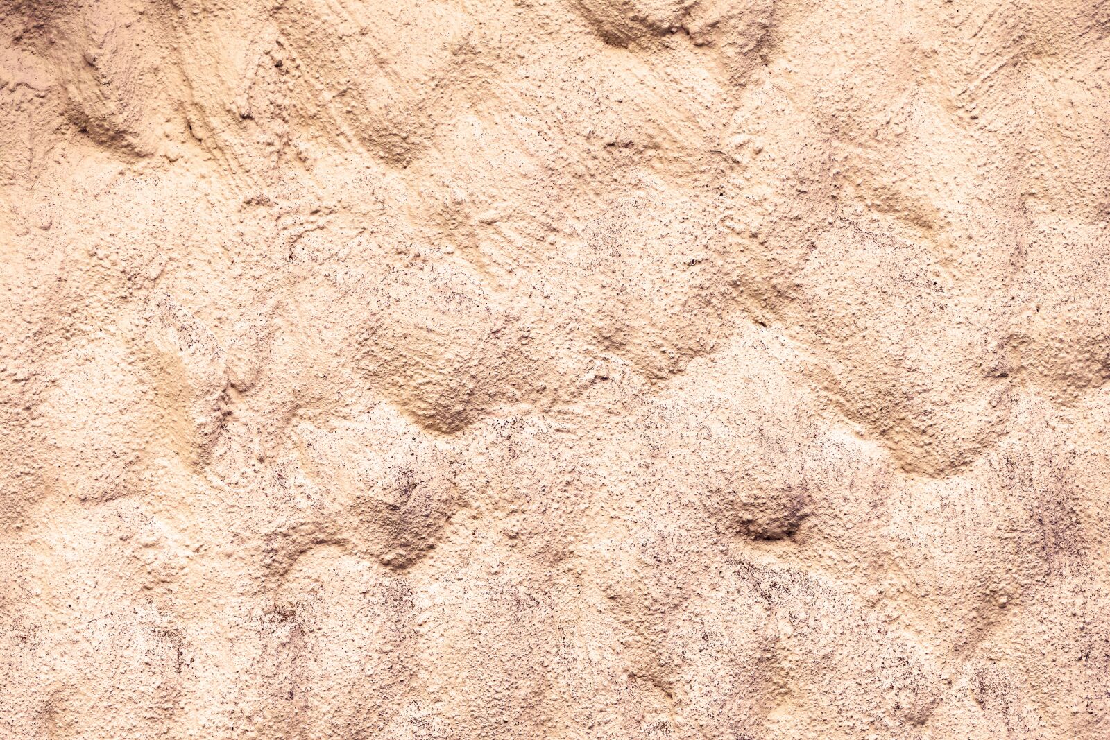 Panasonic Lumix DMC-FZ1000 sample photo. Facade, plaster, spotty photography