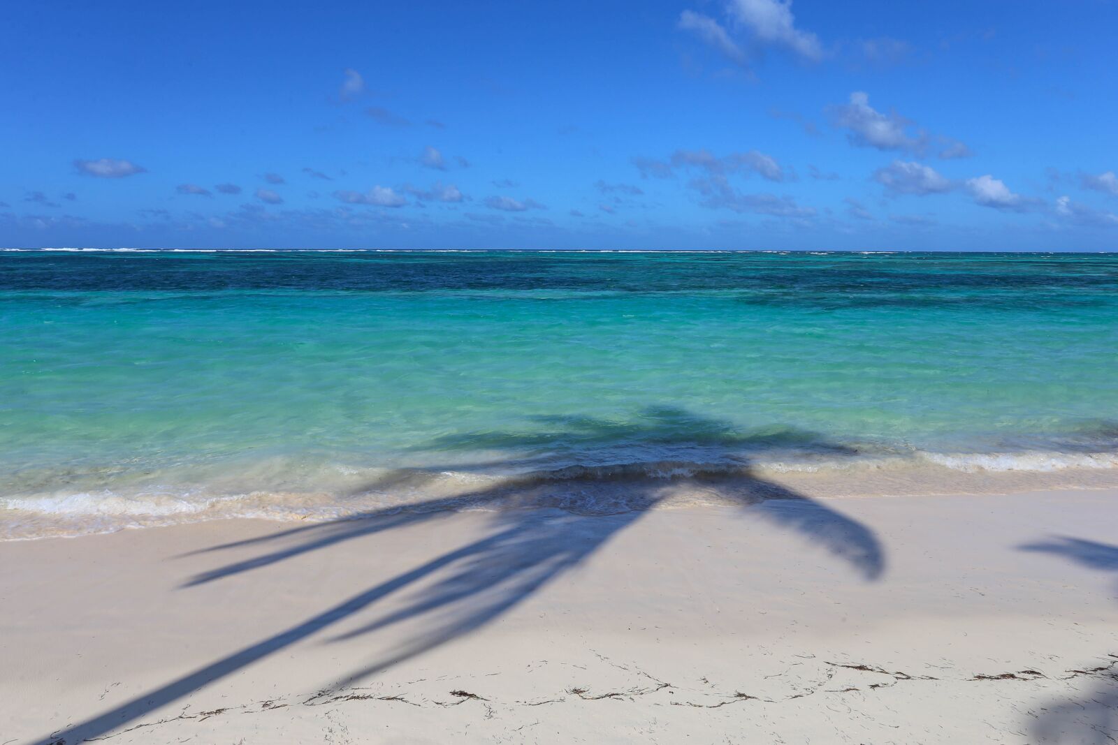 Canon EOS 6D + Canon EF 17-40mm F4L USM sample photo. Dominican republic, sargisova sea photography