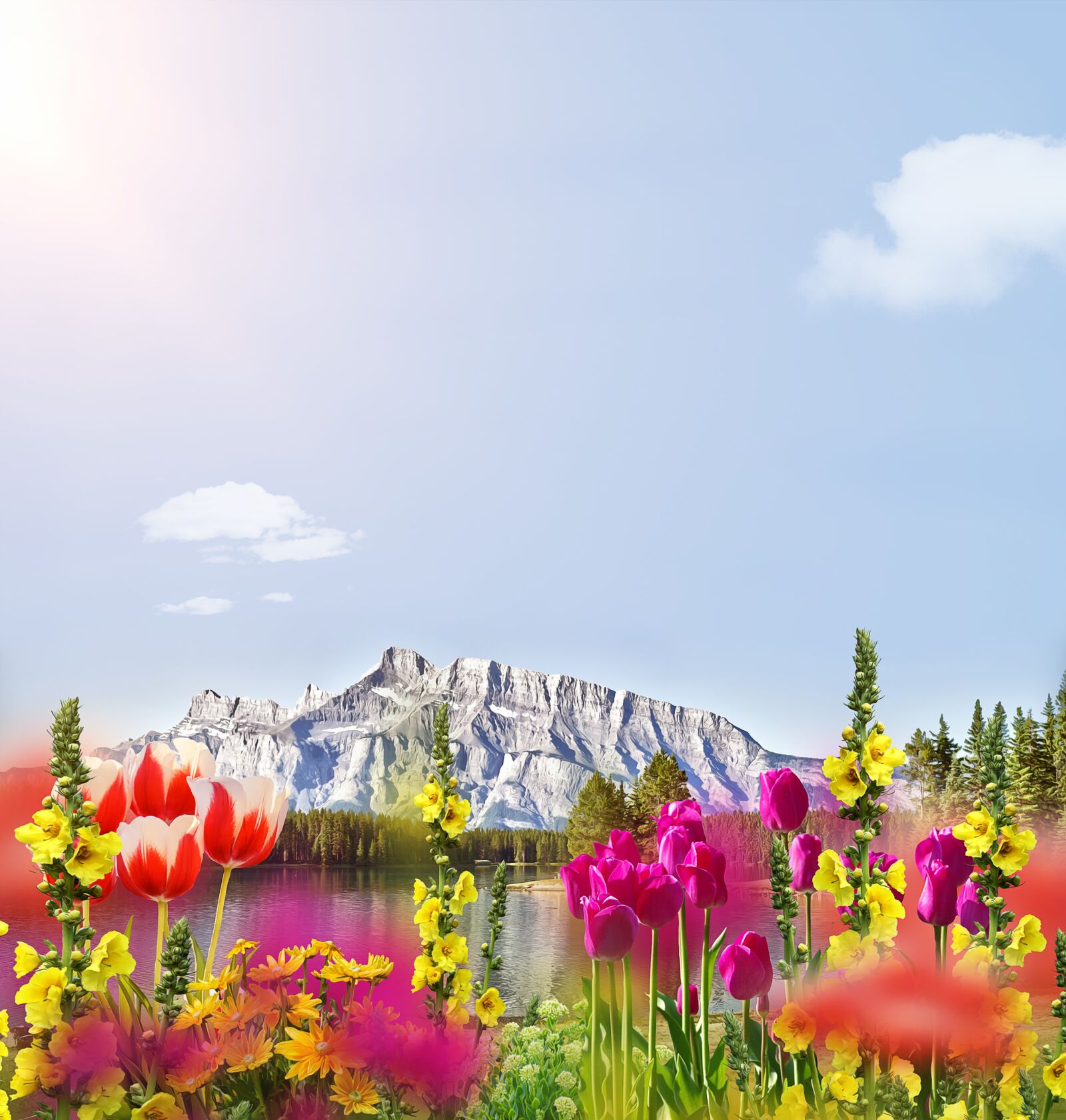 Nikon D3100 sample photo. Flowers, mountain, sky photography