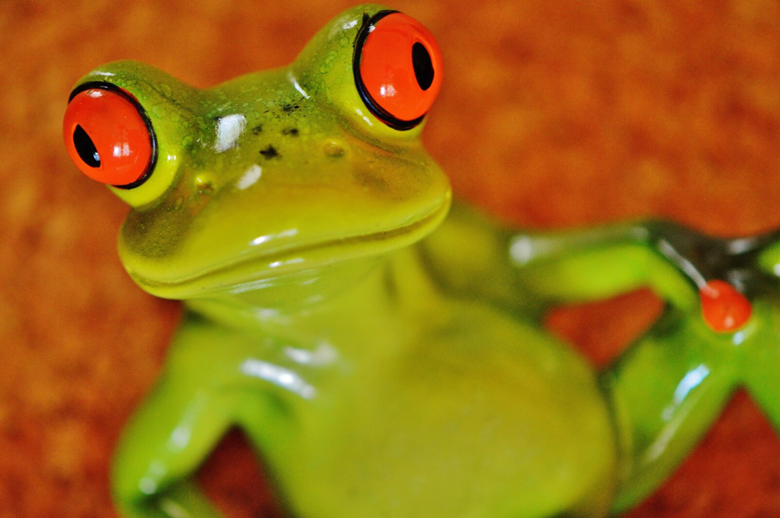 Nikon D3200 sample photo. Frog, funny, figure photography