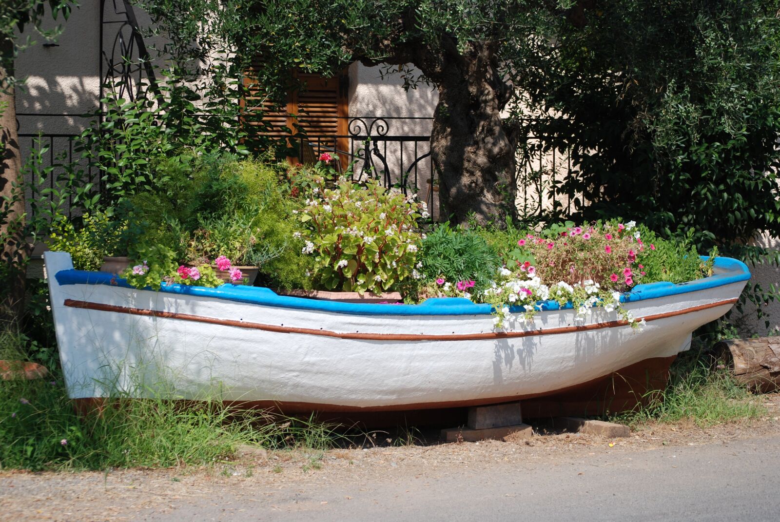 Nikon D80 sample photo. Boat, flowers, pots photography