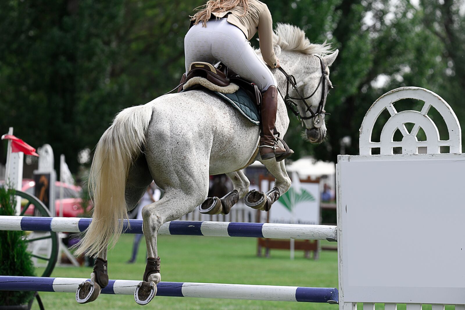 Nikon D850 sample photo. Horse, jump, rider photography