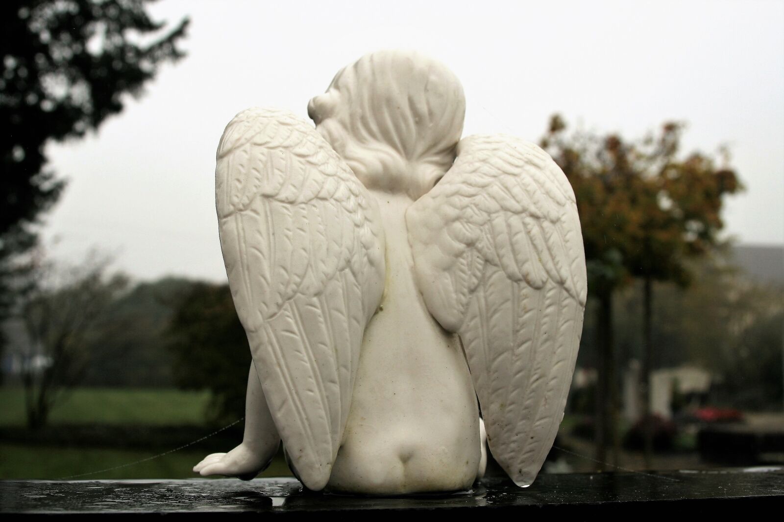 Canon EOS 400D (EOS Digital Rebel XTi / EOS Kiss Digital X) sample photo. Angel, statue, wings photography