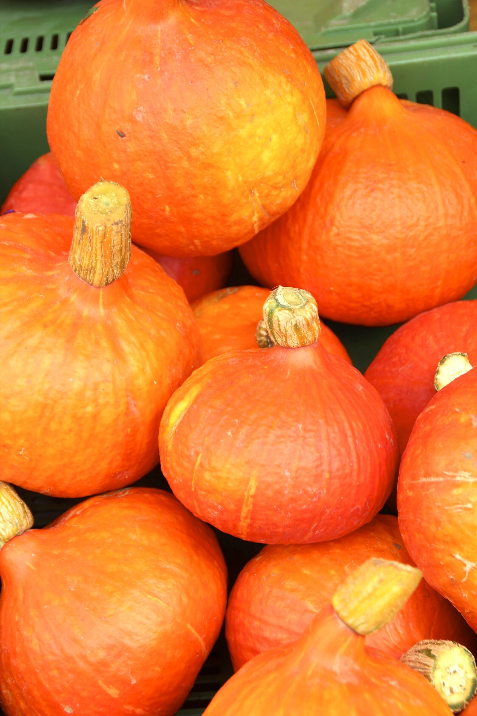 Canon EOS 600D (Rebel EOS T3i / EOS Kiss X5) sample photo. Pumpkin, autumn, halloween photography