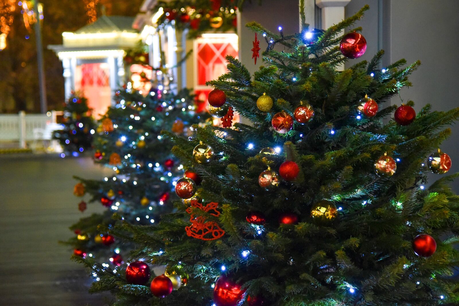 Nikon D750 sample photo. Christmas tree, holiday, christmas photography