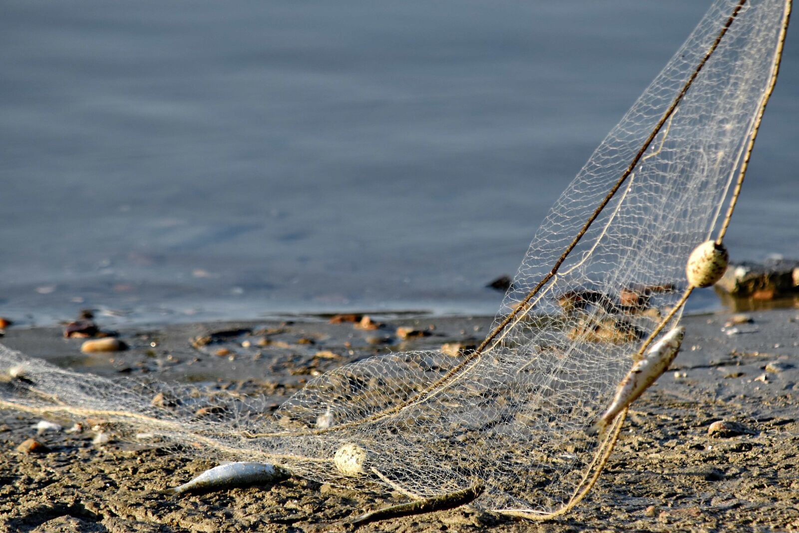Nikon D5500 sample photo. Fishing, fishing gear, network photography