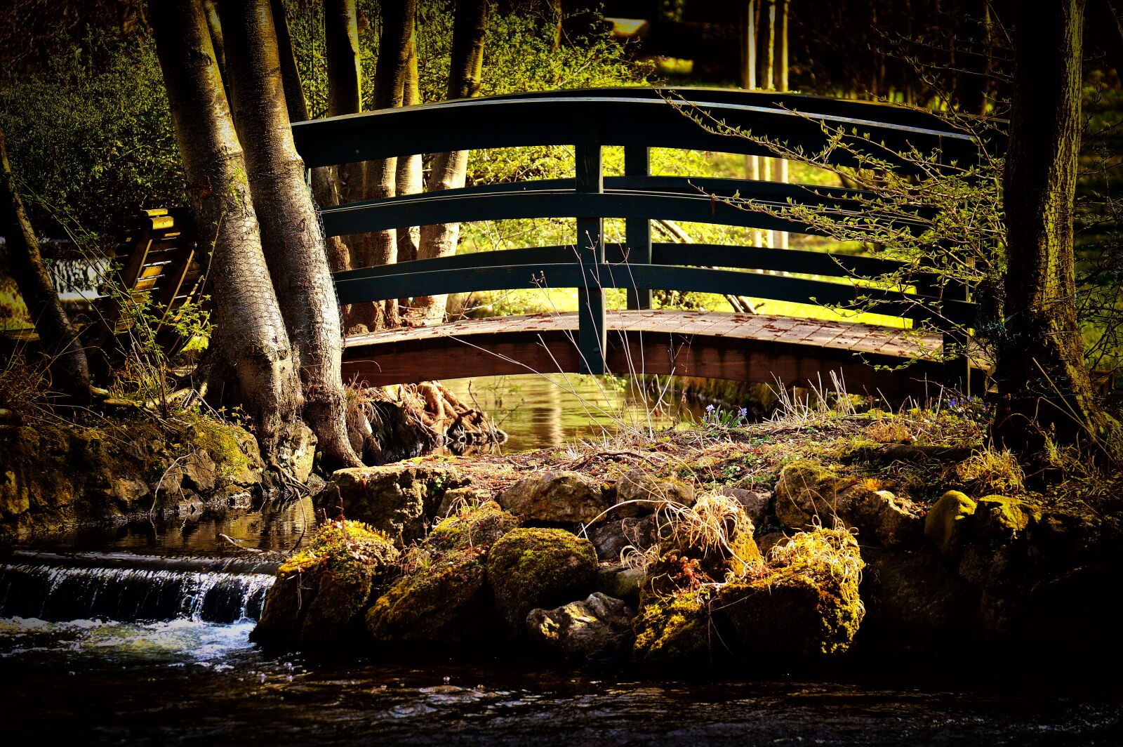 Nikon D3200 sample photo. Bridge, romantic, idyllic photography