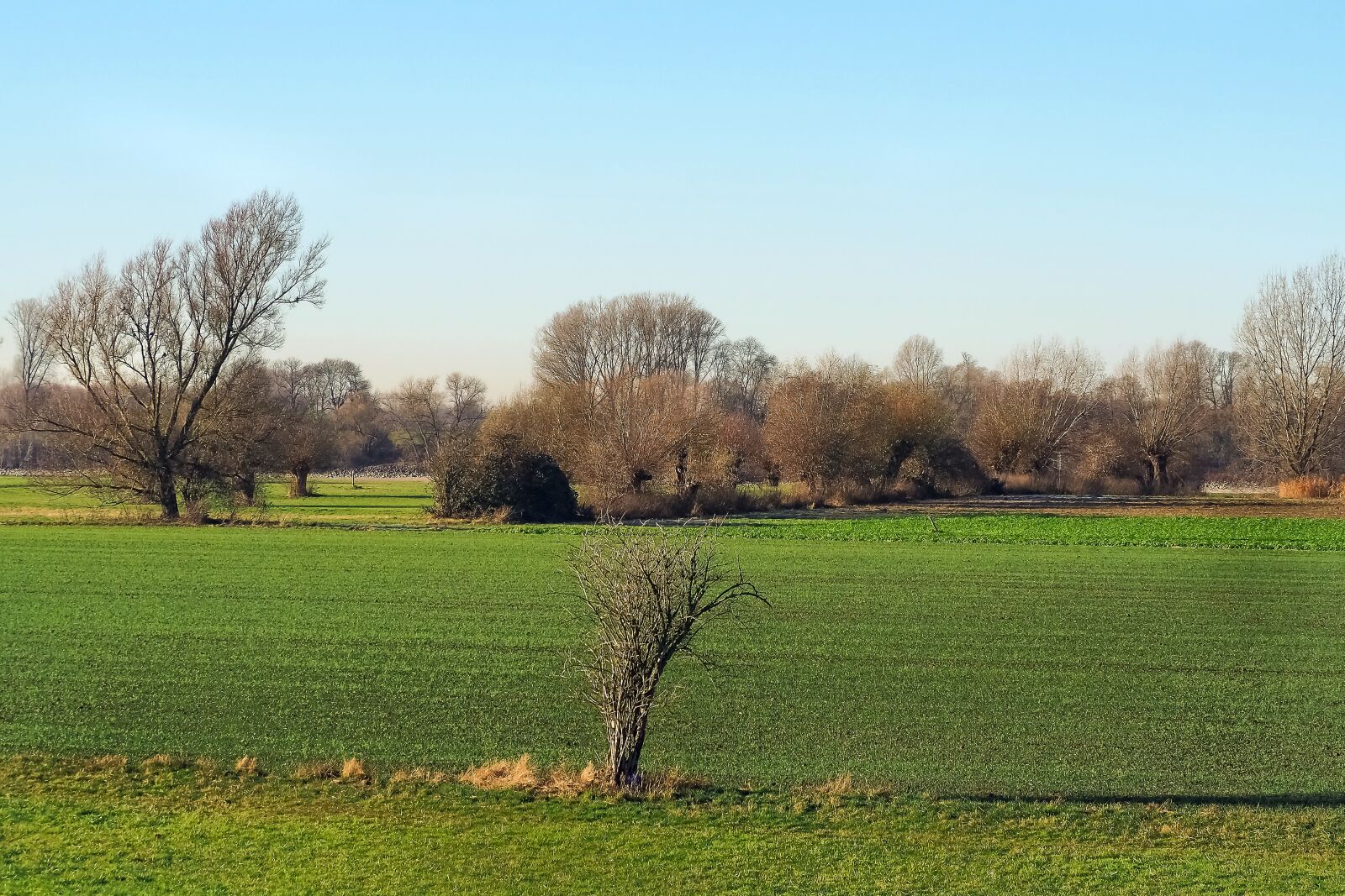 Olympus OM-D E-M10 sample photo. Landscape, nature, mood photography