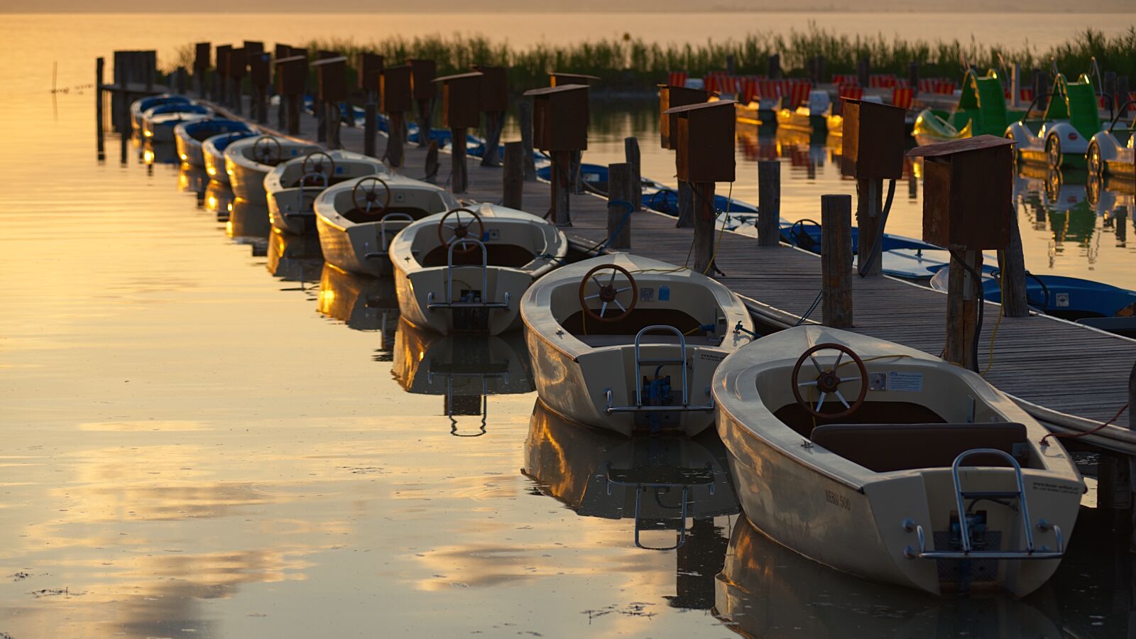 Nikon D750 sample photo. Neusiedler lake, austria, burgenland photography