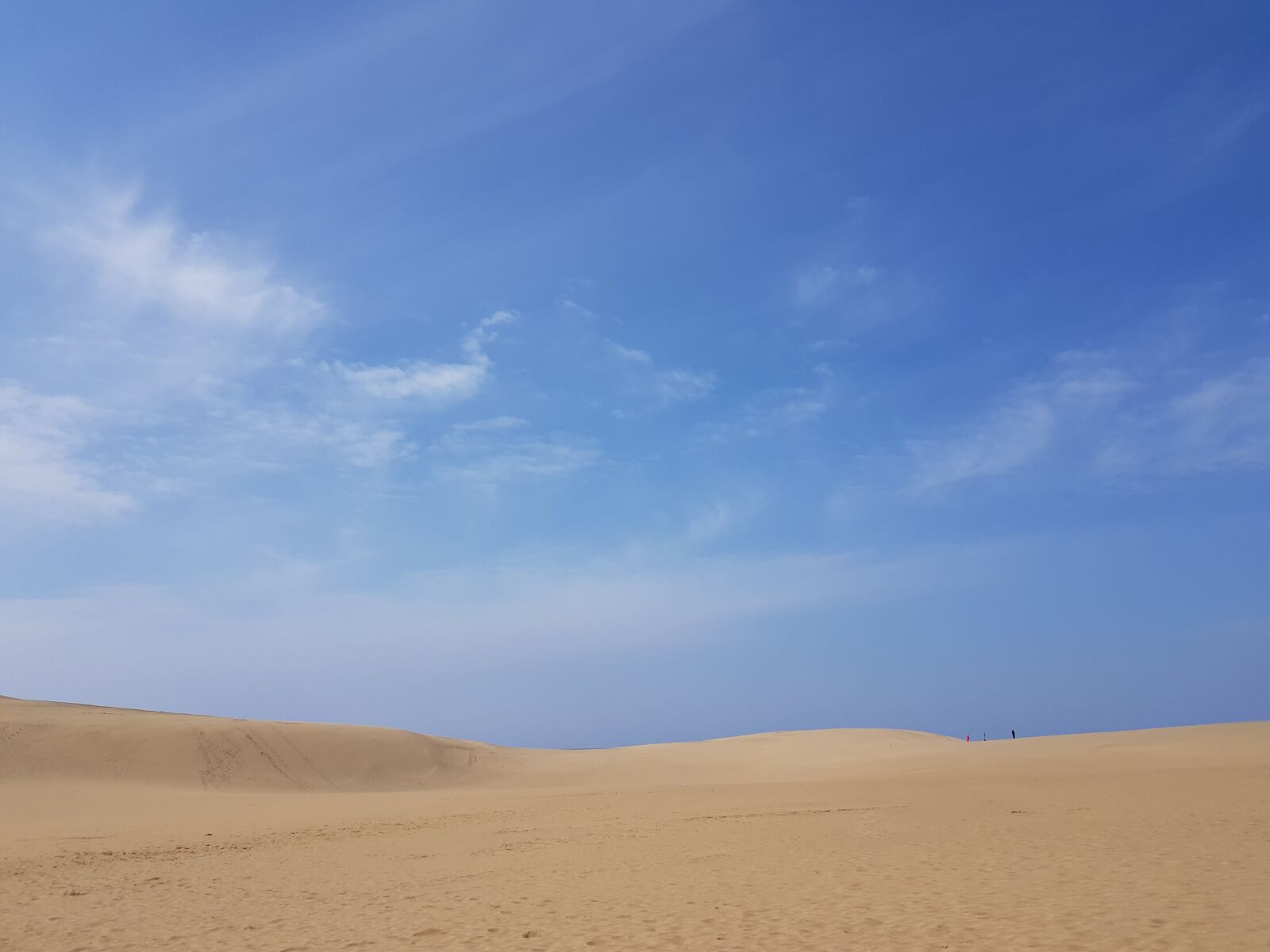 Samsung Galaxy S8 sample photo. 일본, 돗토리현, 사구 photography