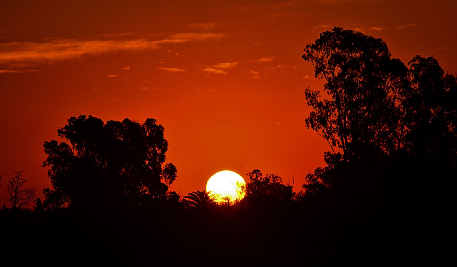 Nikon D5200 sample photo. Sun, sunset, landscape photography