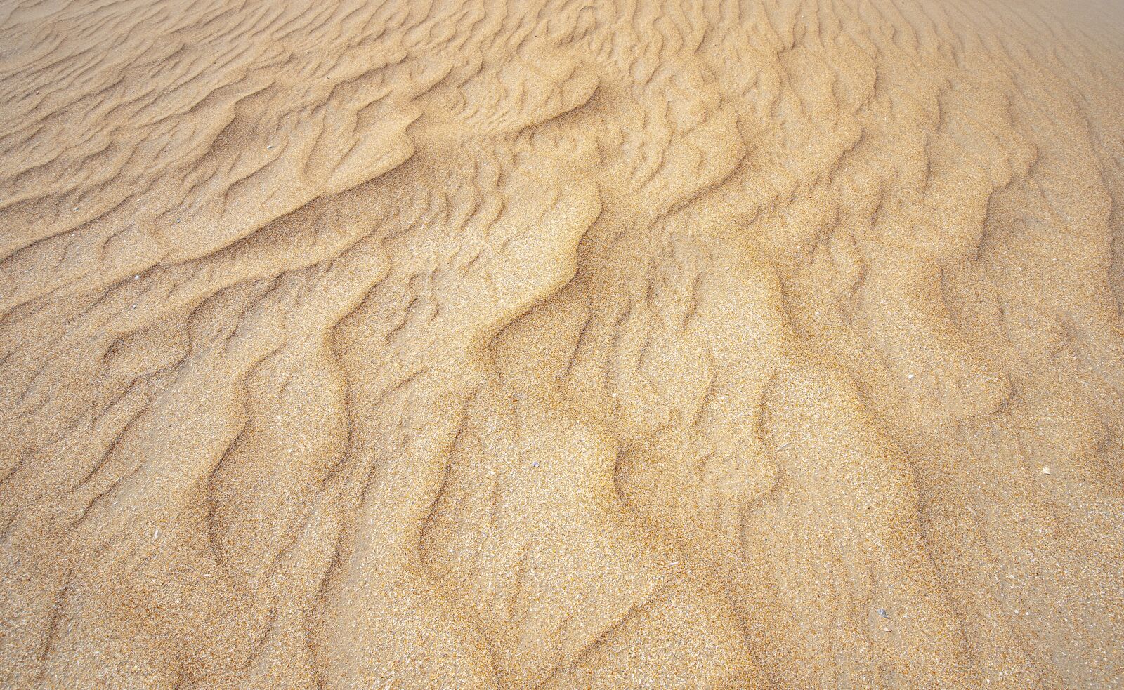 Canon EF 16-35mm F4L IS USM sample photo. Sand, beach, sea photography