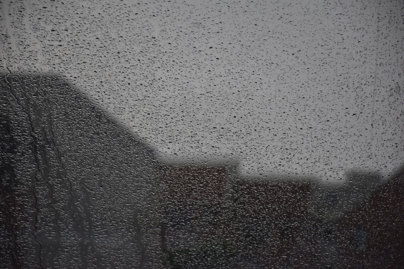 Nikon D5600 sample photo. Cold, window, pic photography