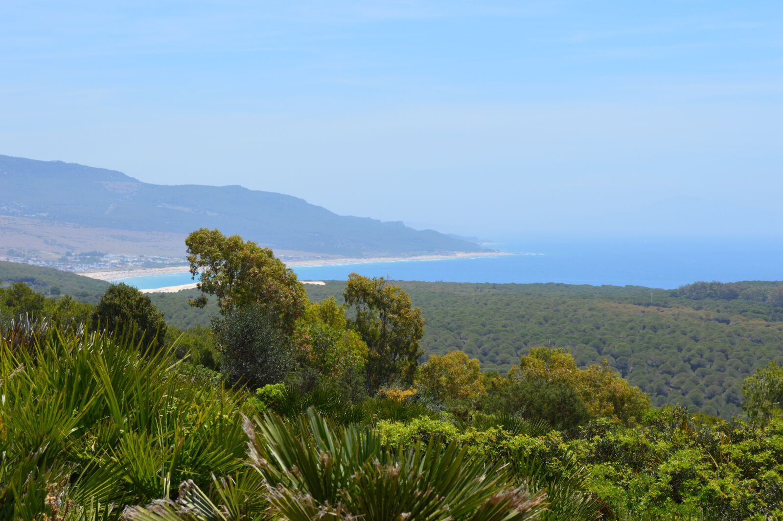 Nikon D3200 sample photo. Field, sea, landscape photography