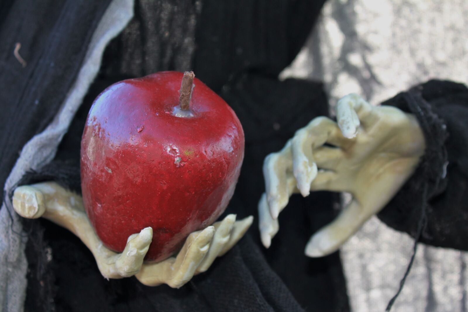 Canon EOS 1100D (EOS Rebel T3 / EOS Kiss X50) sample photo. Halloween, poisoned apple, decor photography