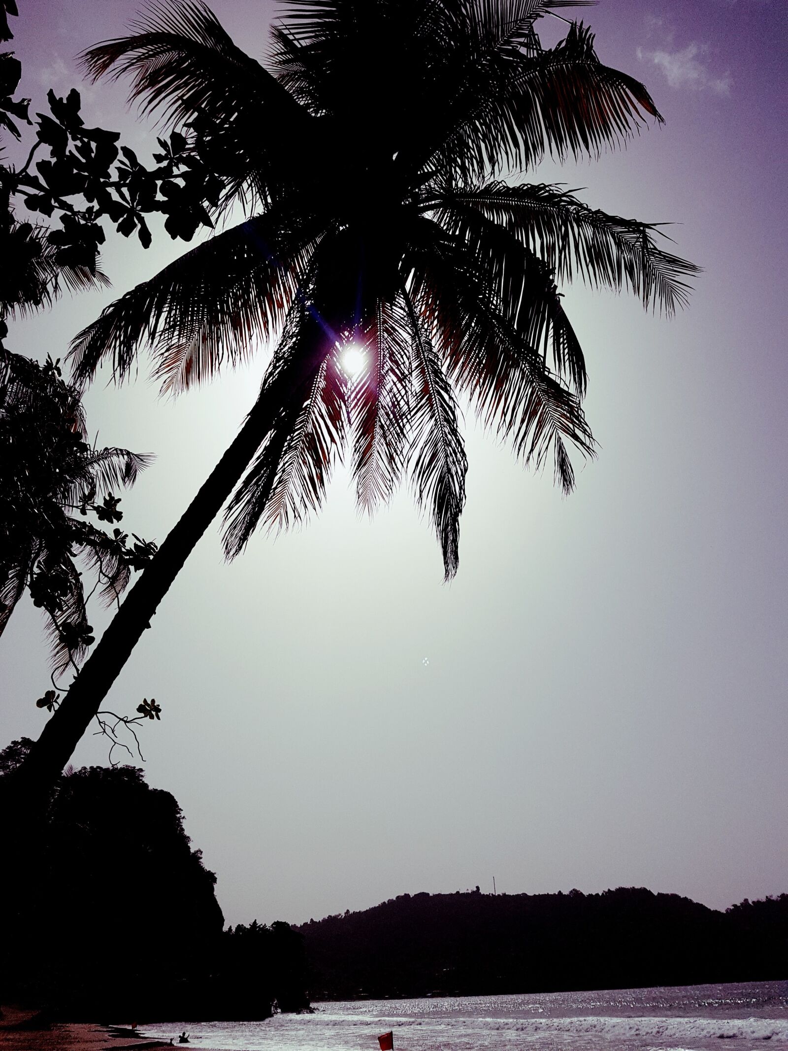 Samsung Galaxy S7 Edge sample photo. Beach, coconut tree, sun photography