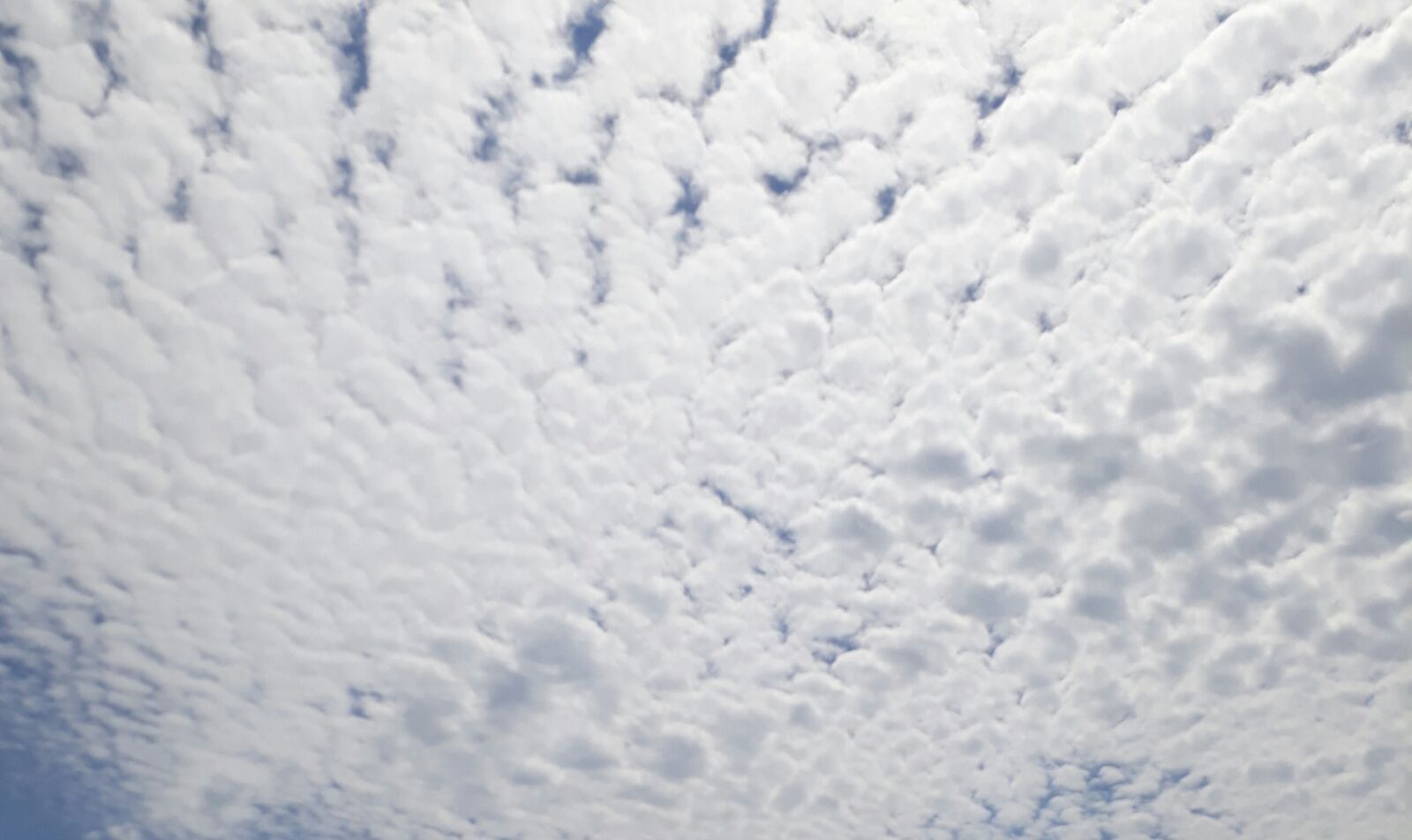 Samsung Galaxy A3(2017) sample photo. Clouds, cotton, sky photography