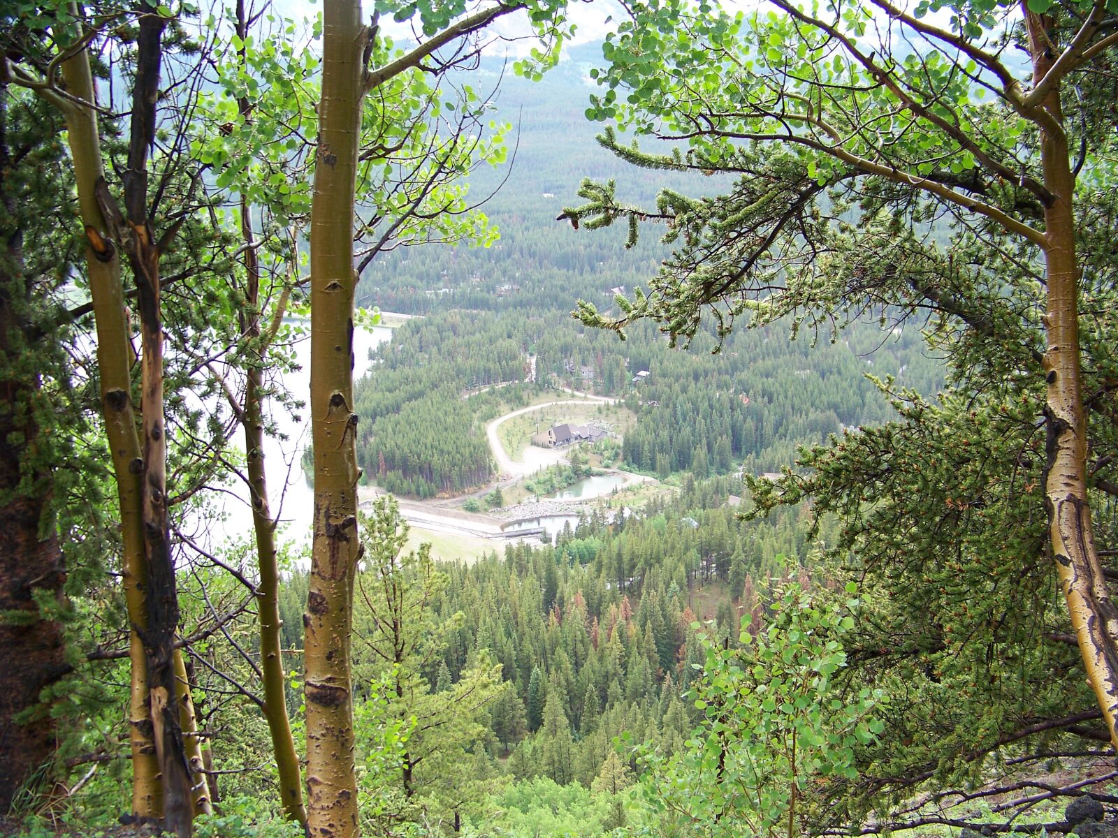 Kodak Z812 IS ZOOM DIGITAL CAMERA sample photo. Trees, colorado, forest photography