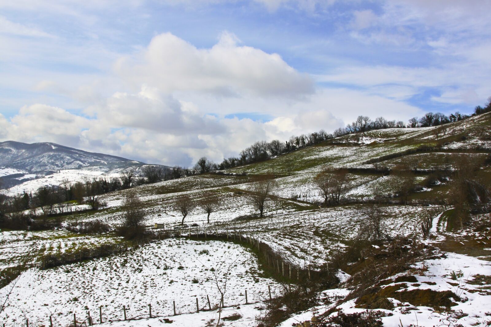Canon EOS 500D (EOS Rebel T1i / EOS Kiss X3) sample photo. Snow, winter, landscape photography