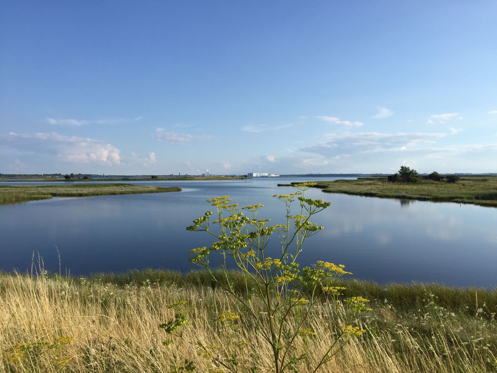 Apple iPhone 6 sample photo. Wismar, shipyard, ferry village photography