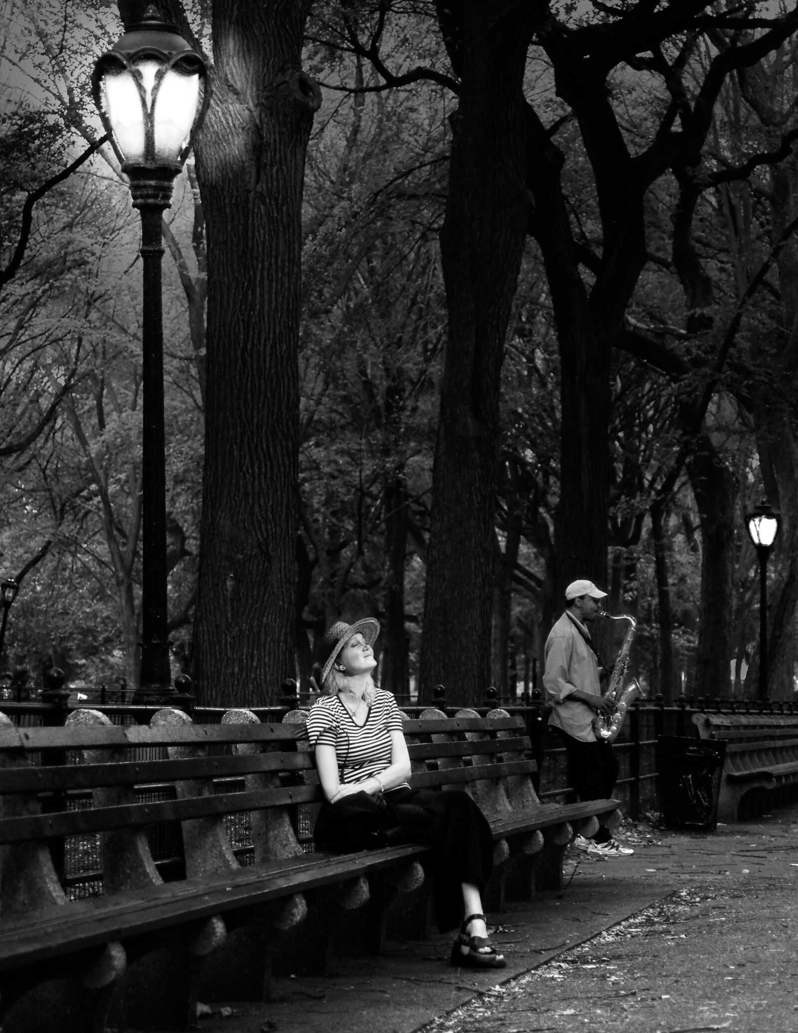 Fujifilm FinePix S2 Pro sample photo. Central park, new york photography