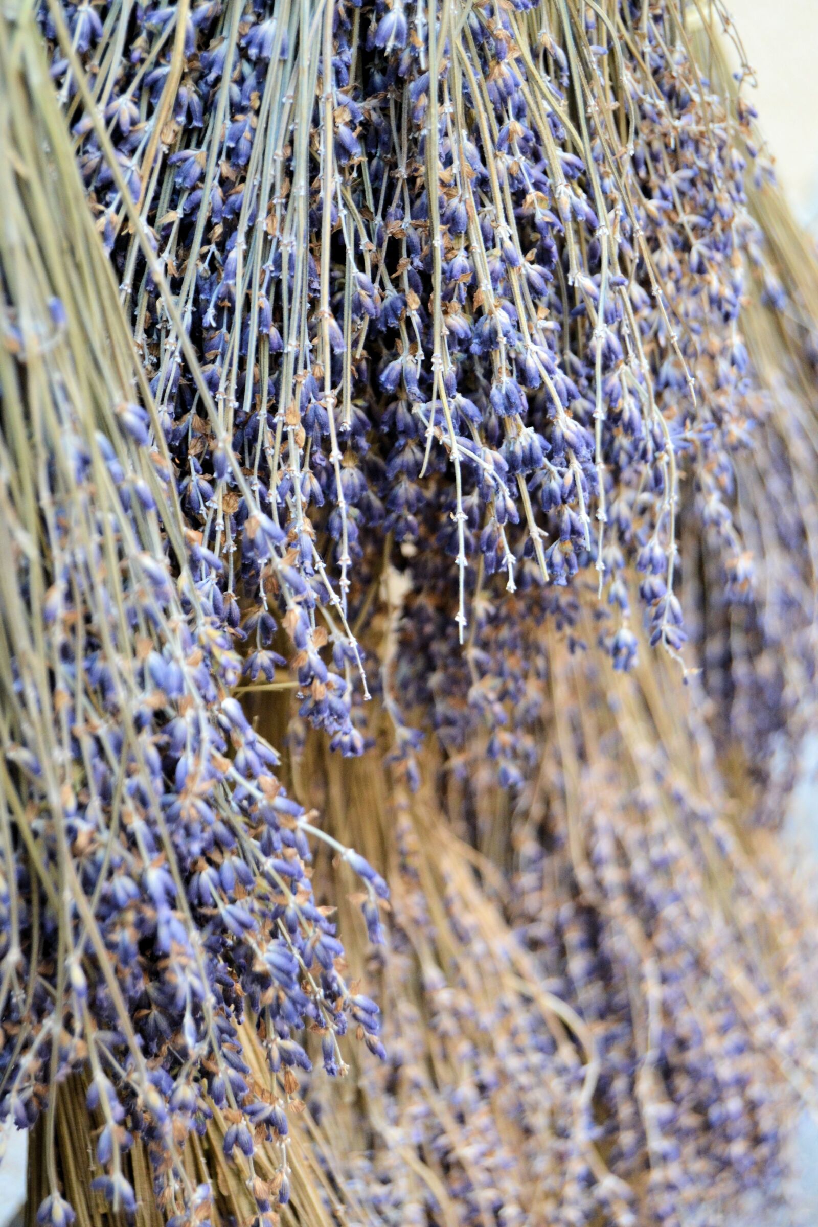 Nikon D3100 sample photo. France, provence, aix-en-provence photography