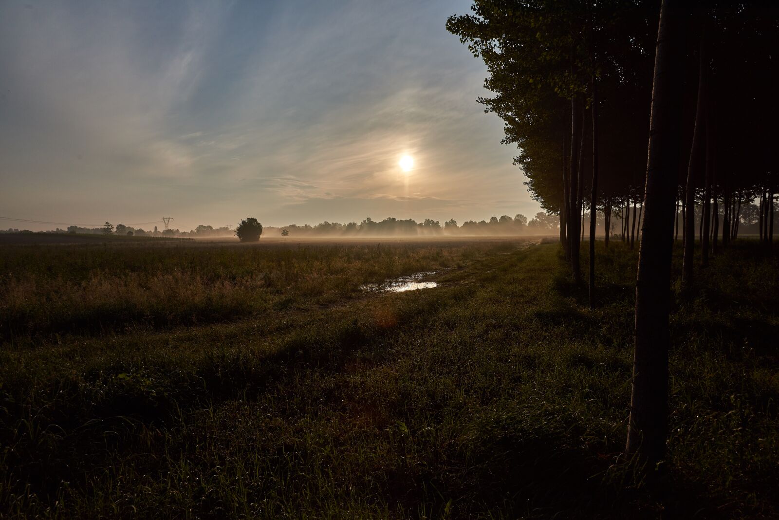 Nikon D810 sample photo. Fog, dawn, campaign photography