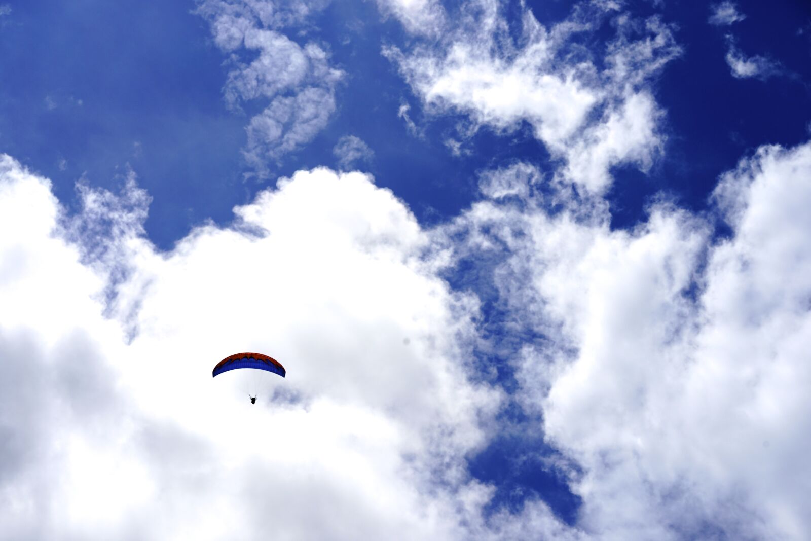 Sony a7 II + Sony Sonnar T* FE 55mm F1.8 ZA sample photo. Paragliding, sky, extreme game photography