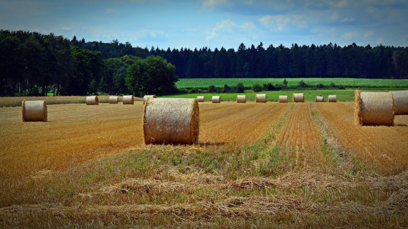 Nikon D5200 sample photo. Straw bales, harvest, straw photography
