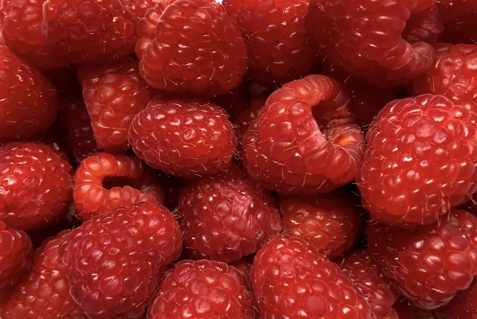 Apple iPhone 8 sample photo. Raspberries, summer, delicious photography