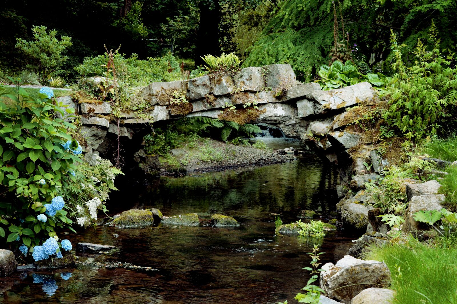 Nikon D3300 sample photo. Bridge, summer, river photography