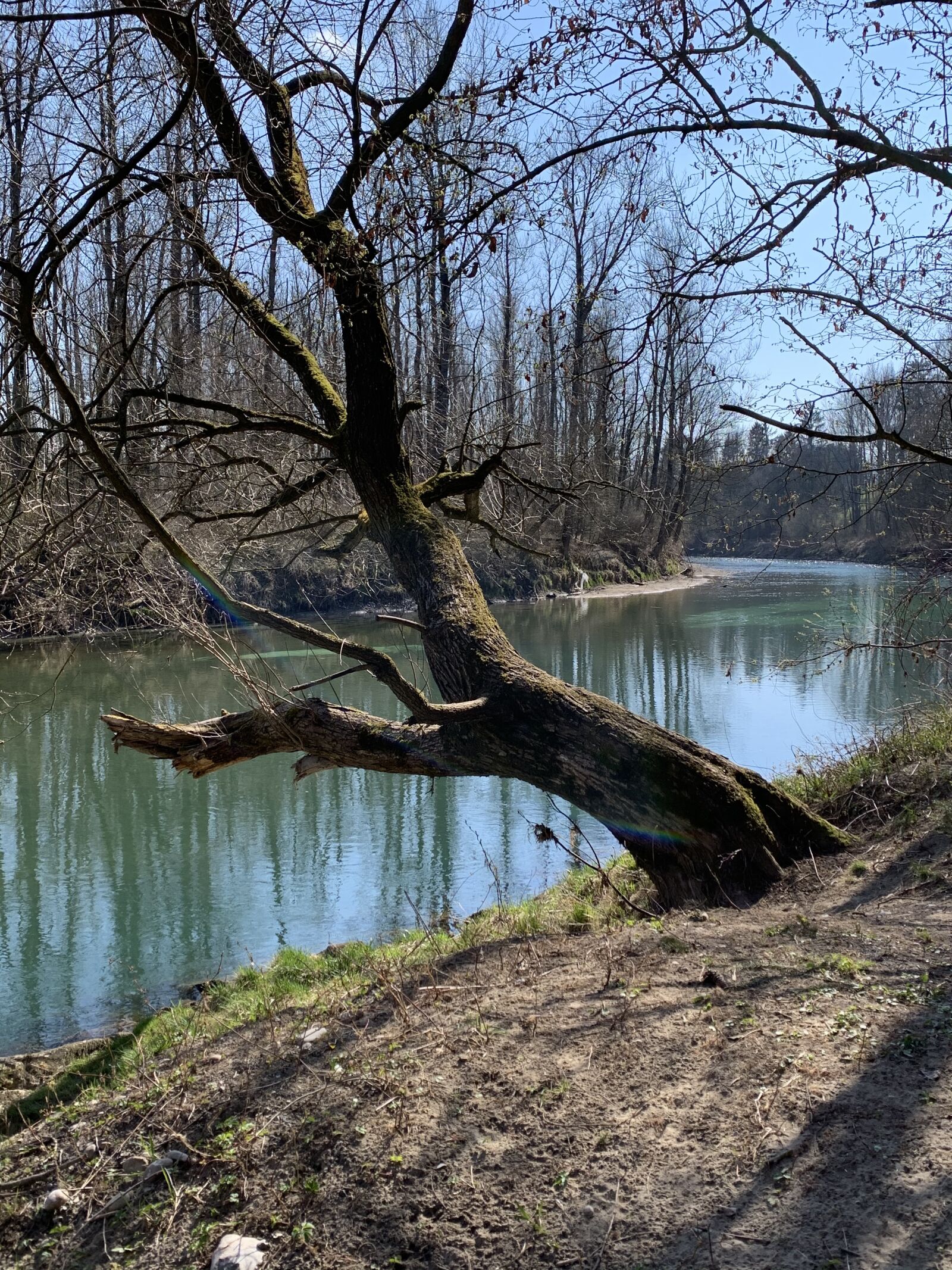 Apple iPhone XR sample photo. River landscape, spring, nature photography