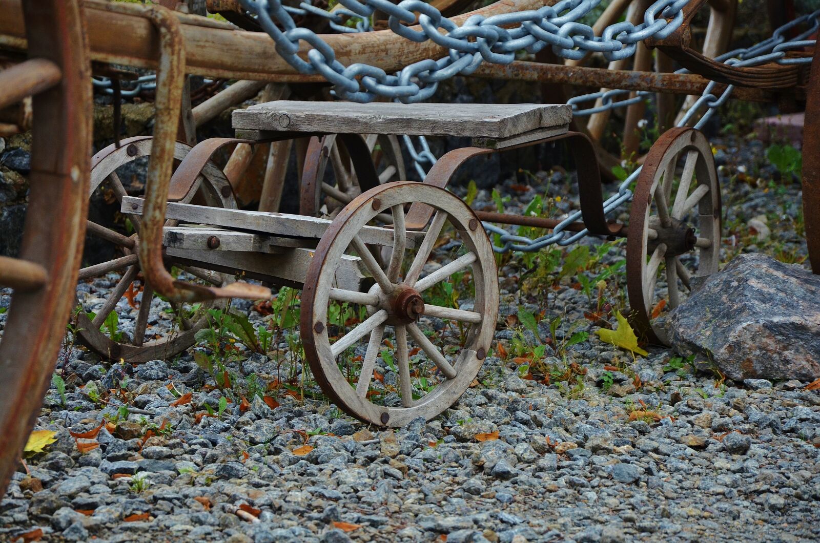 Nikon D7000 sample photo. Horse, carrige, travel photography
