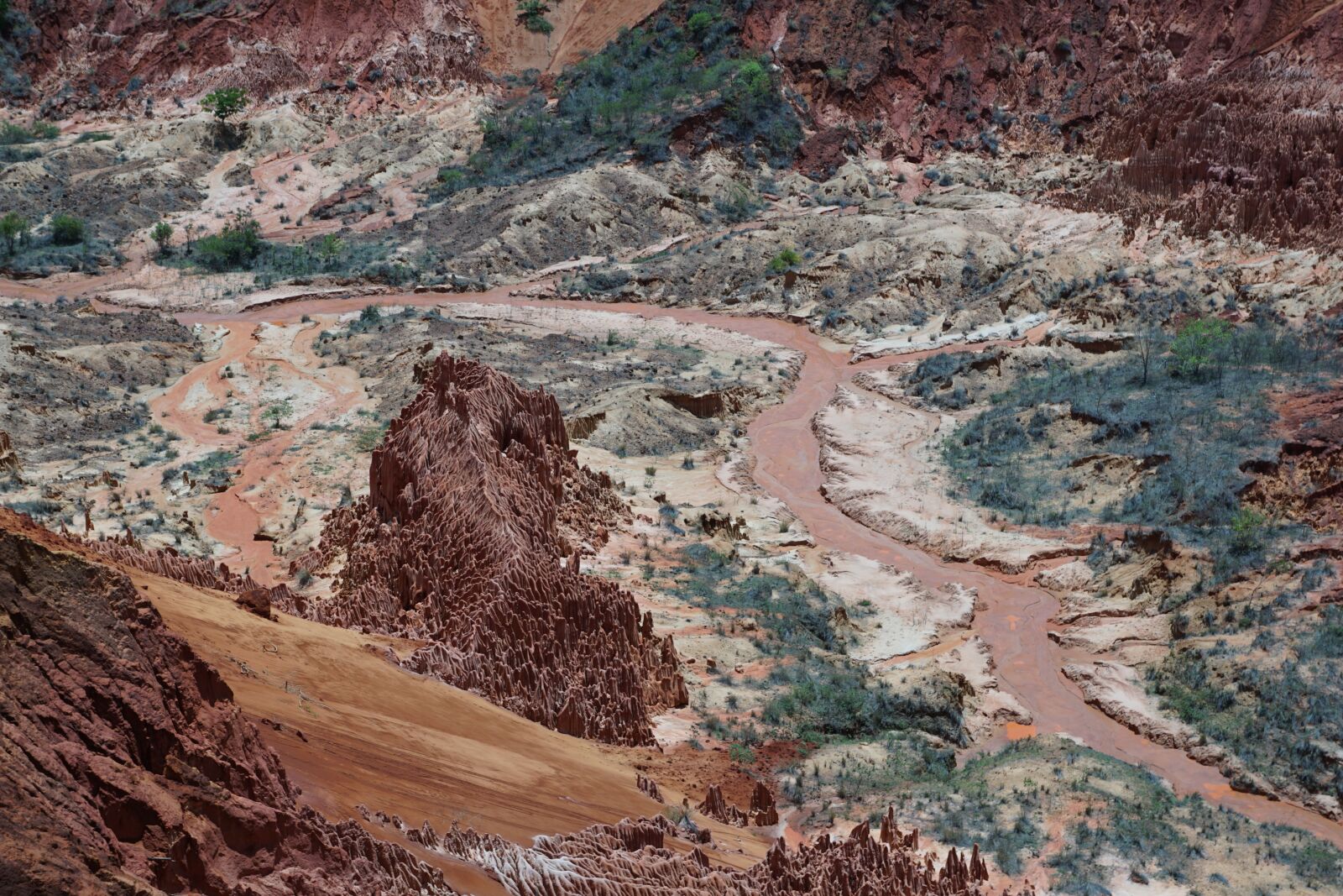 Sony ILCA-77M2 + Sony DT 16-50mm F2.8 SSM sample photo. Park, madagascar, tsingy rouge photography