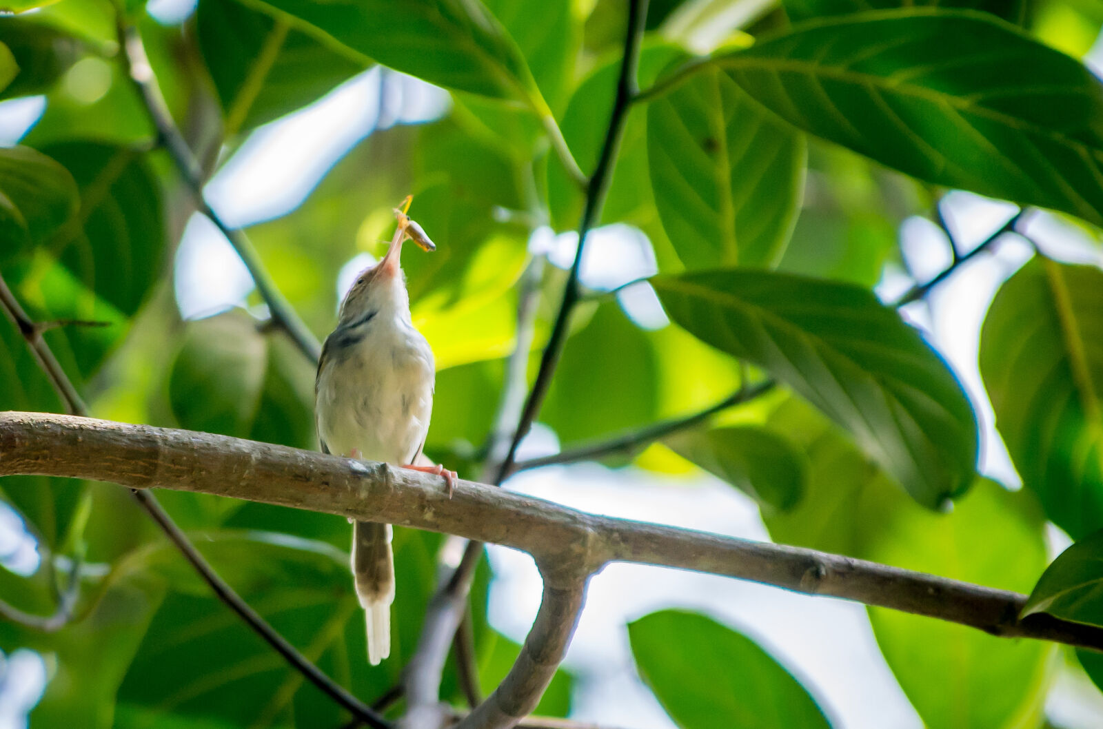 Nikon D7100 sample photo