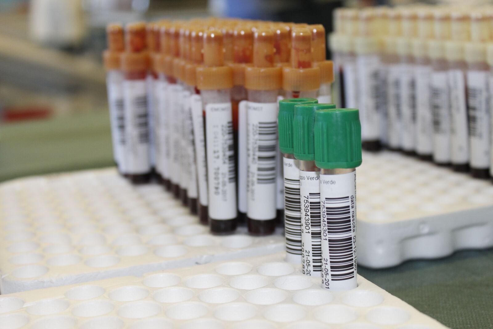 Canon EOS 600D (Rebel EOS T3i / EOS Kiss X5) sample photo. Doctor, blood, life photography