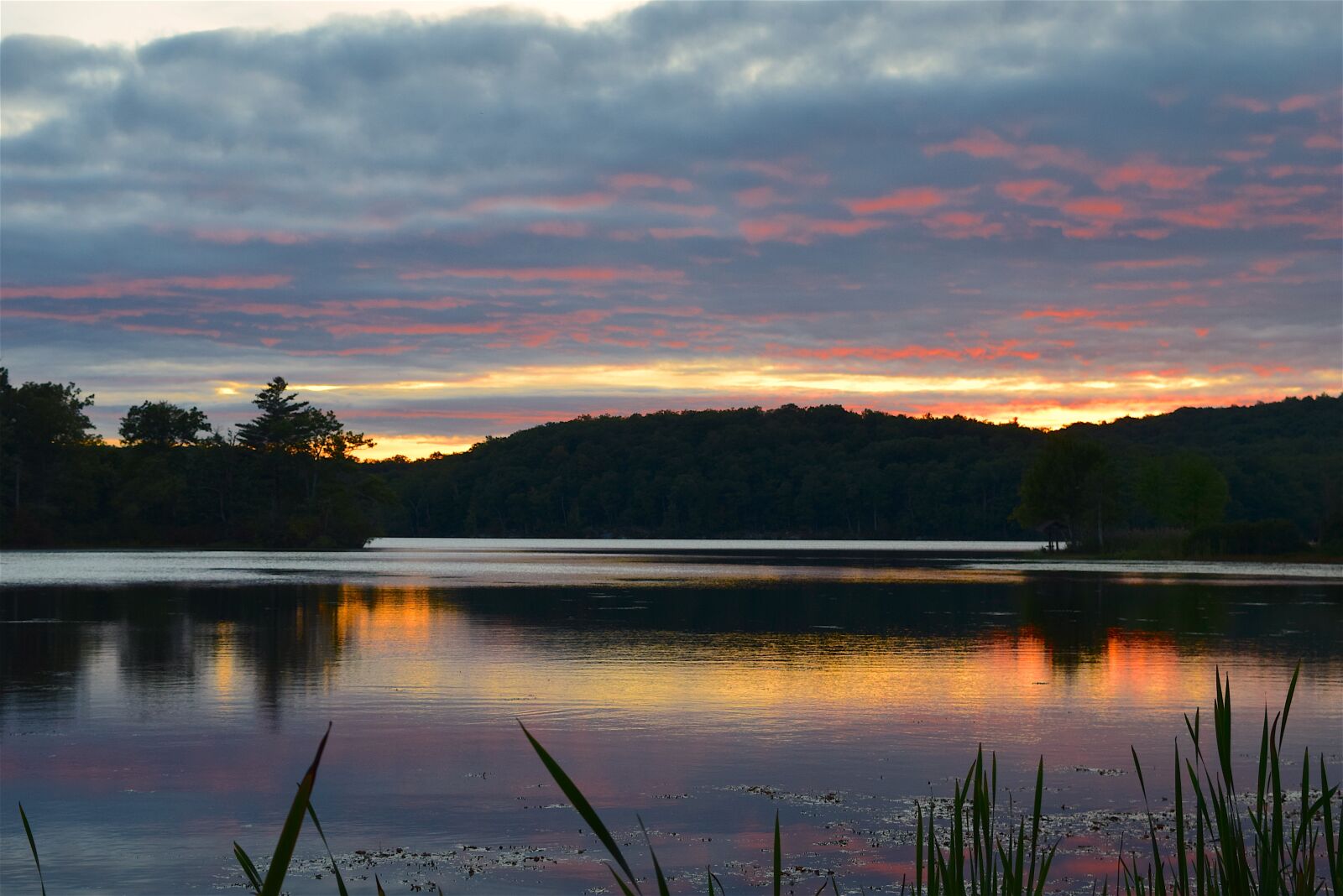 Nikon D3300 sample photo. Lake, sunset, park photography