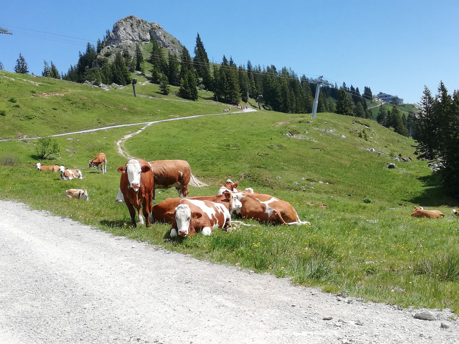 HUAWEI P20 lite sample photo. Brauneck, mountains, hike photography