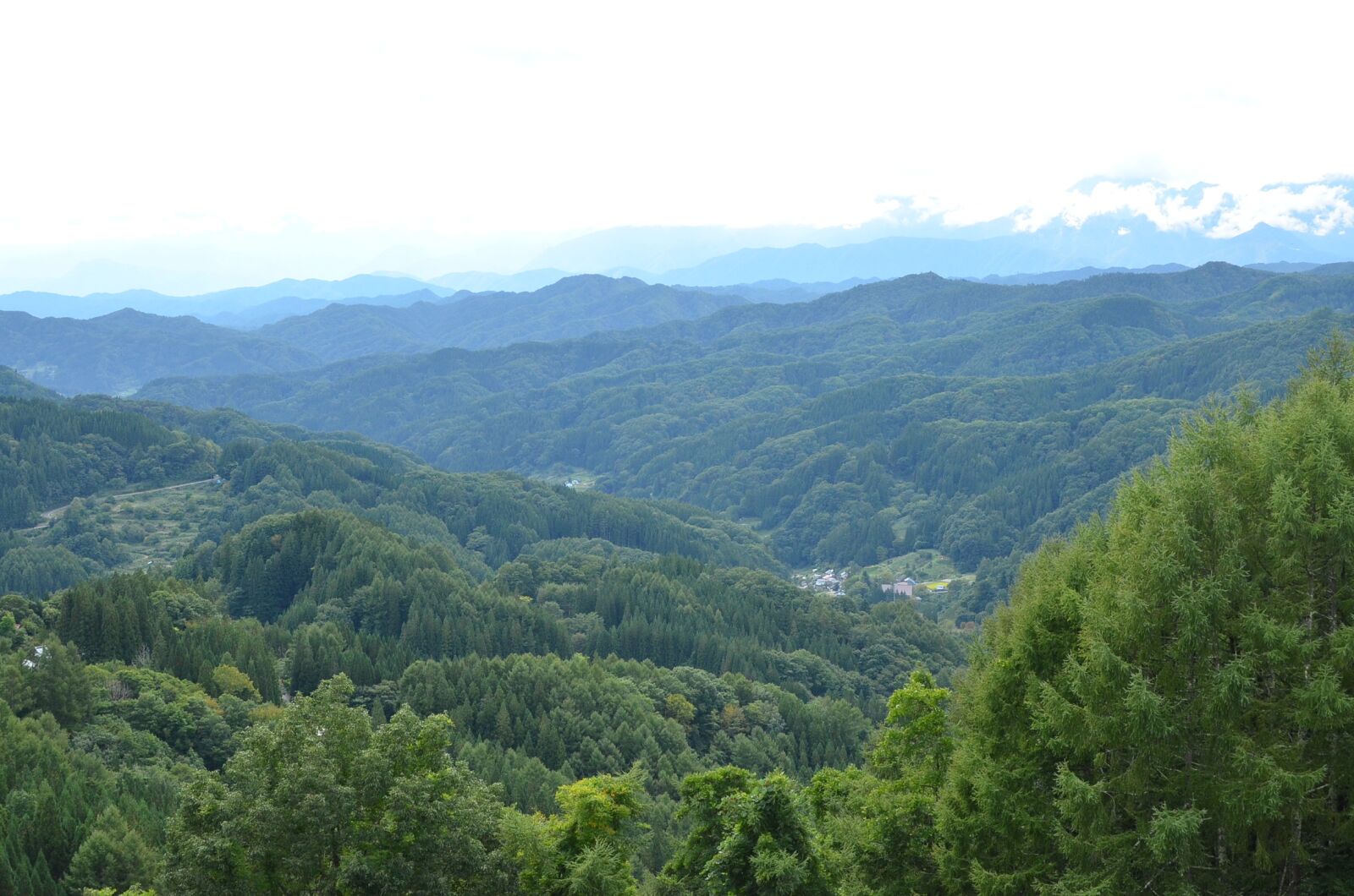 Nikon D5100 sample photo. Mountain, leaf, natural photography