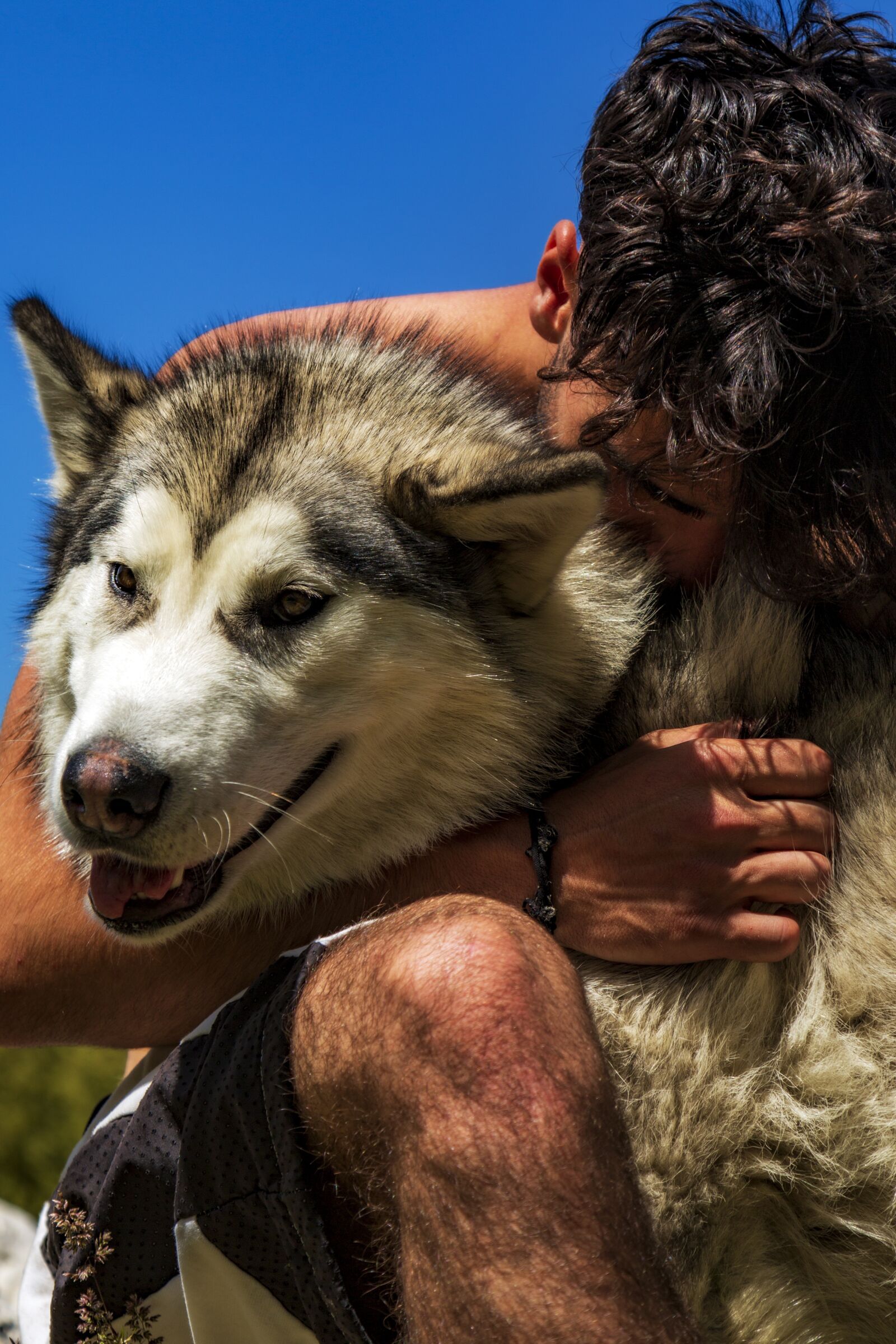 Canon EF 24-105mm F4L IS USM sample photo. Dog, puppy, animal photography