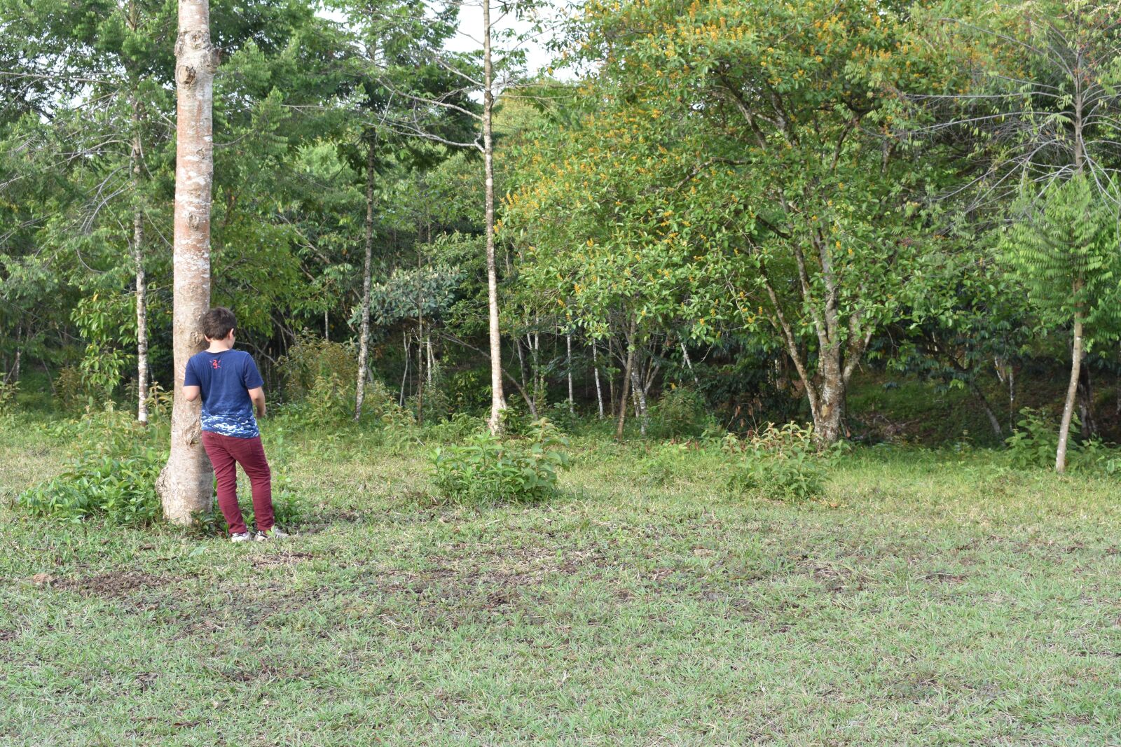 Nikon D3400 sample photo. Child, nature, family photography
