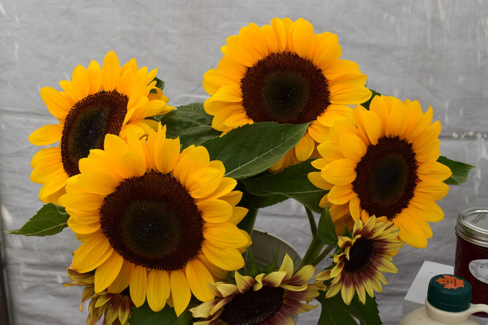 Nikon D3300 sample photo. Sunflowers, flowers, nature photography