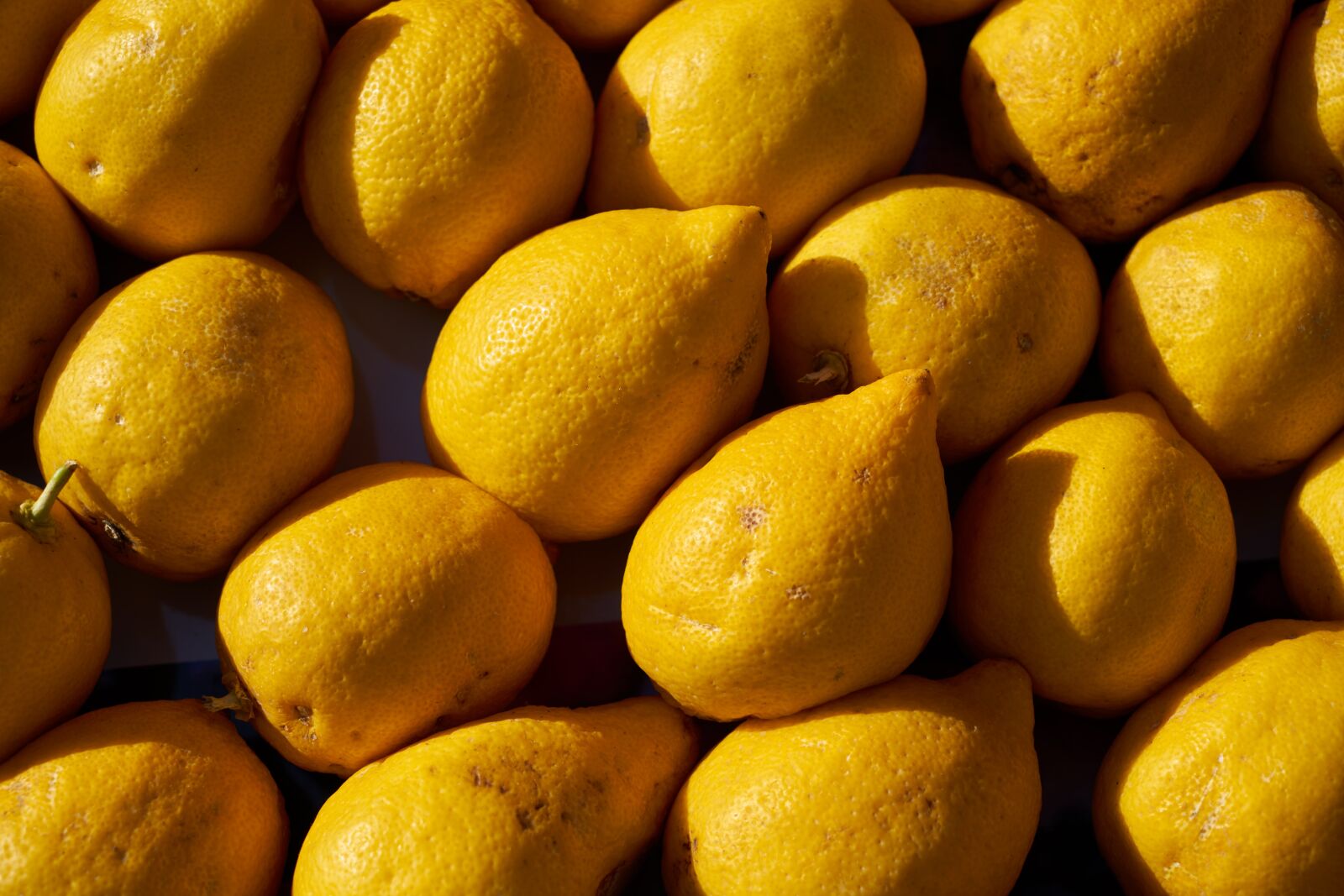 Sony a7R II sample photo. Lemon, fruit, yellow photography