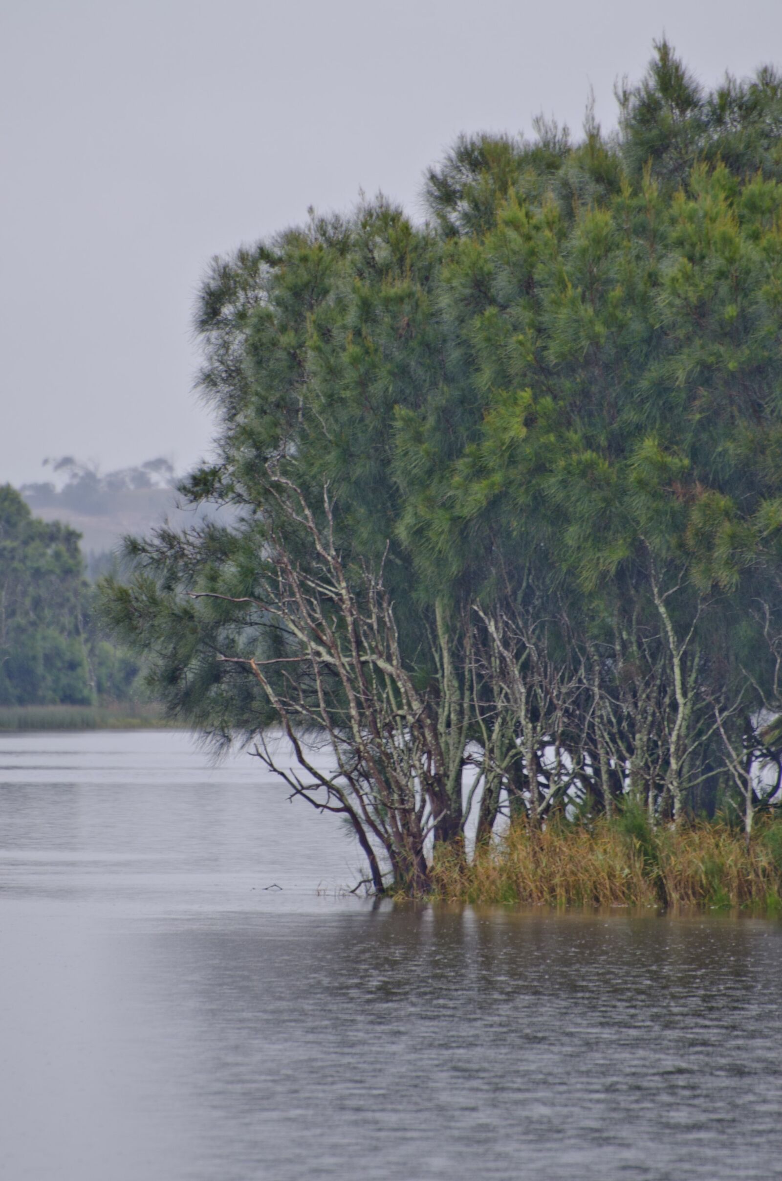 Nikon D7000 sample photo. Lake, bay, trees photography