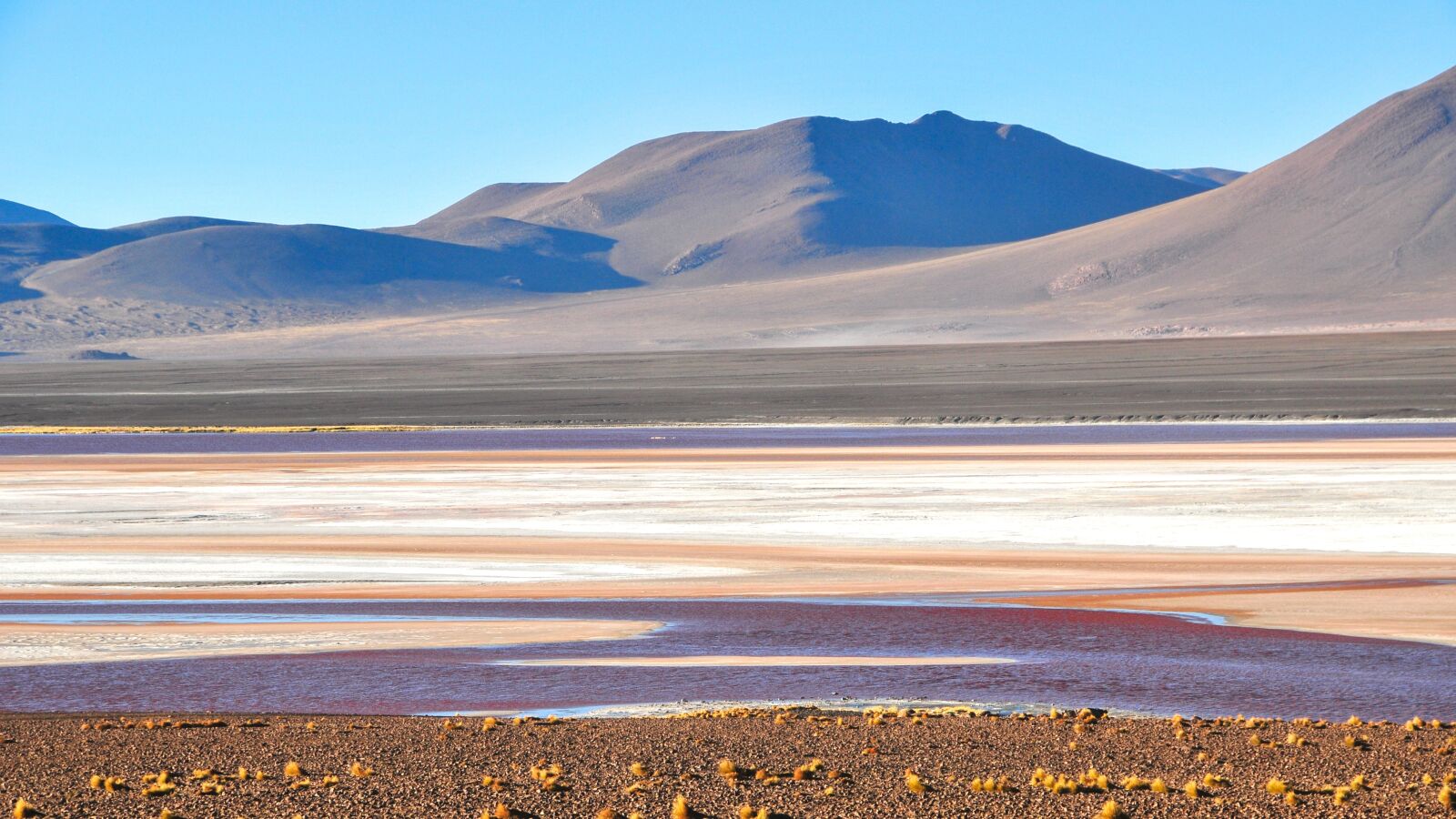 Nikon D300 sample photo. Laguna colorada, bolivia, ande photography